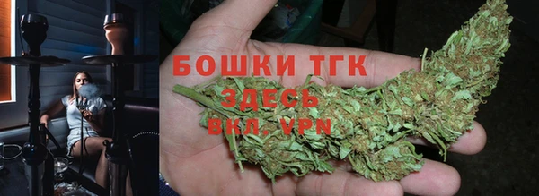 spice Горняк