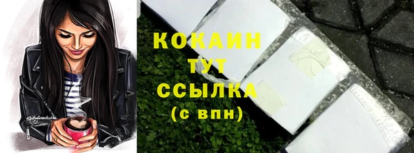 молекула духа Ивангород