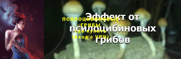 apvp Слюдянка
