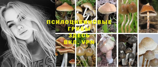 молекула духа Ивангород