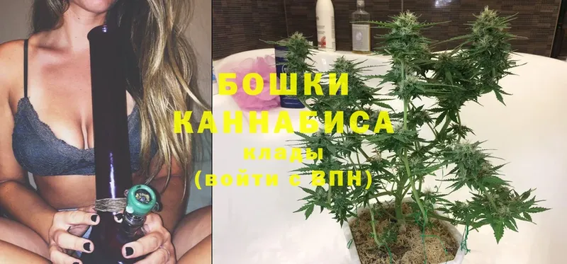купить закладку  Белозерск  Канабис SATIVA & INDICA 